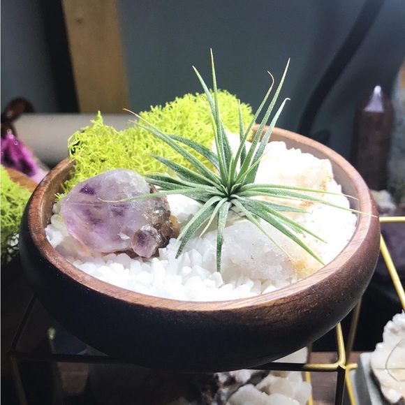 Handcrafted & Customized Crystal Gardens - Picture 5 of 15